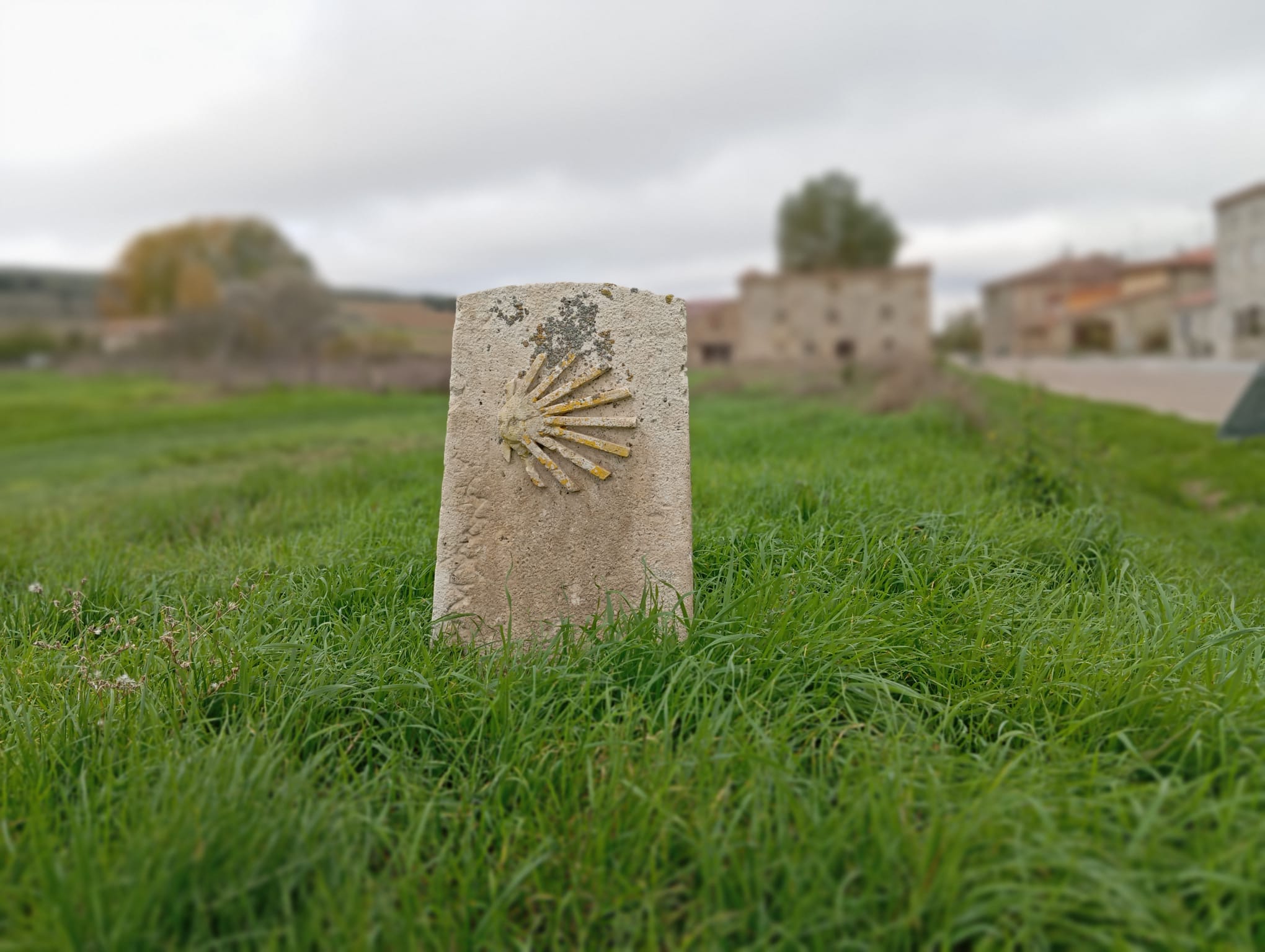 CAMINO DE SANTIAGO FRANCÉS